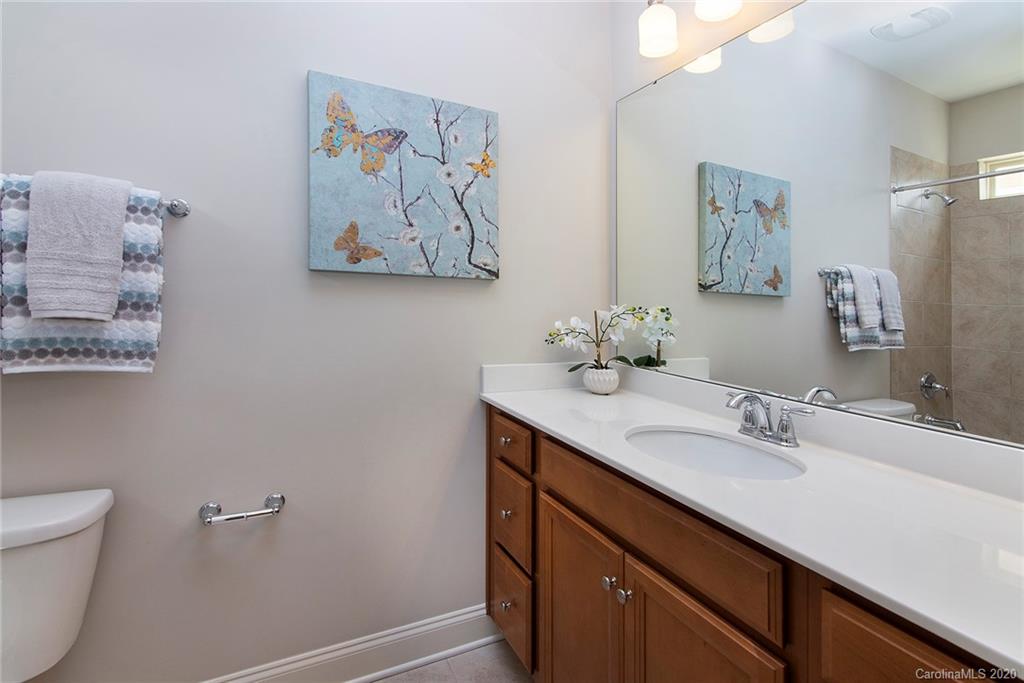 393 Mill Ridge Road Rock Hill, SC 29730 - Photo 22 of 27 Gallery Image 22