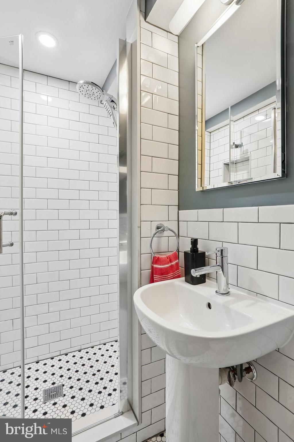 10025 Reddick Drive Silver Spring, MD 20901 - Photo 33 of 59 Lower Level Full Bath En Suite