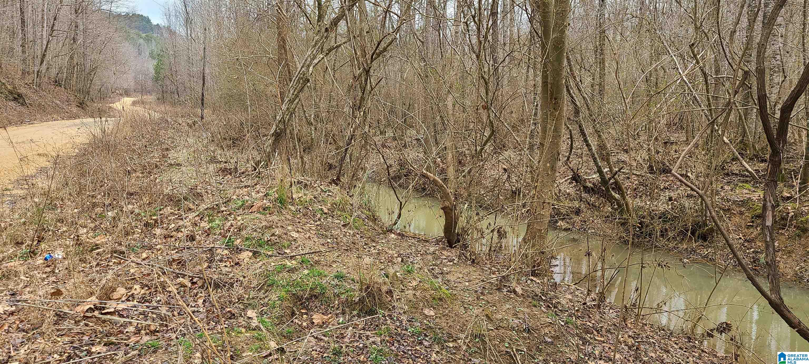 0 Wolf Creek Road Carbon Hill, AL 35549 - Photo 20 of 29