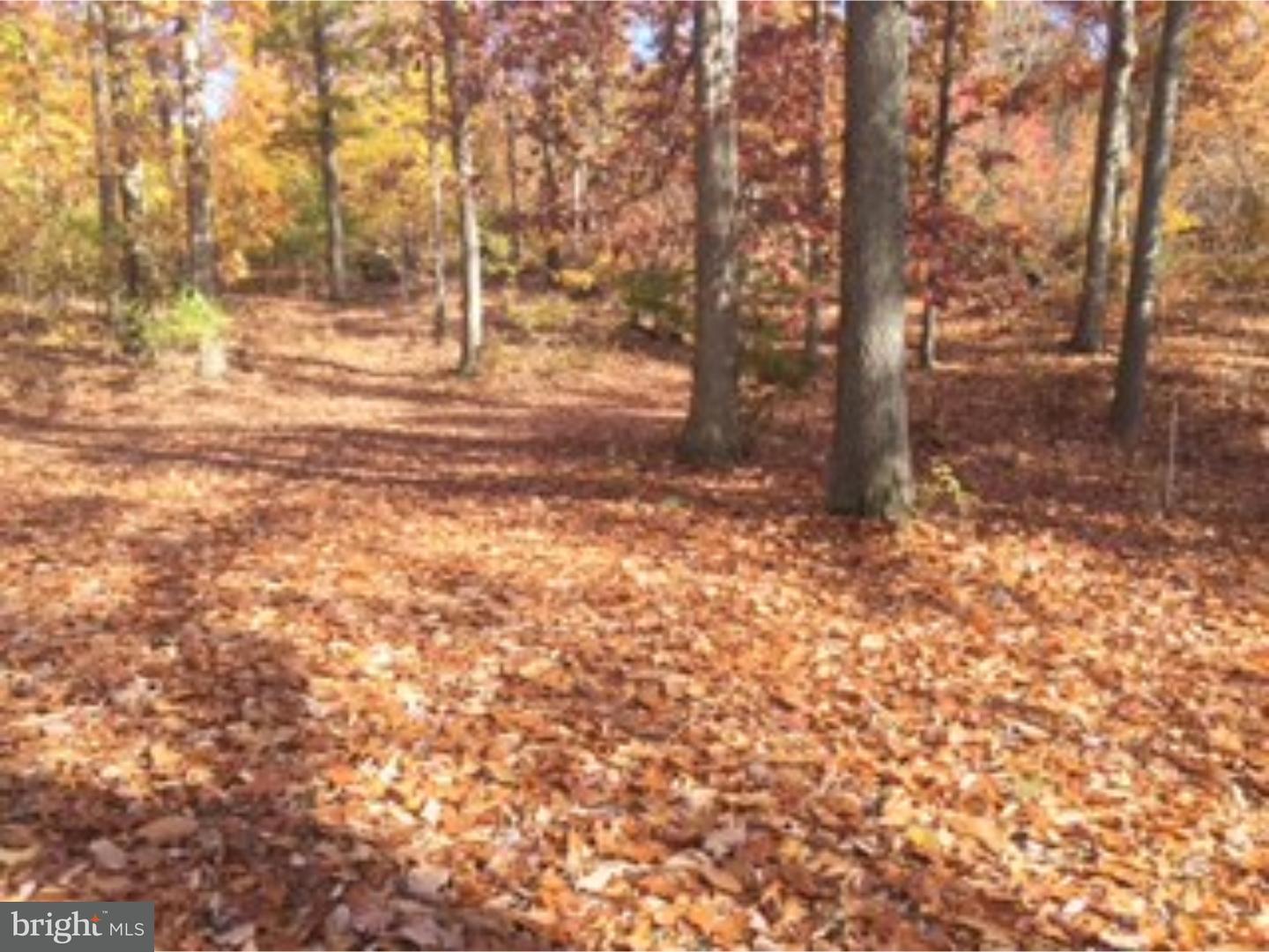 18 Mannerchor Road Temple, PA 19560 - Photo 5 of 16