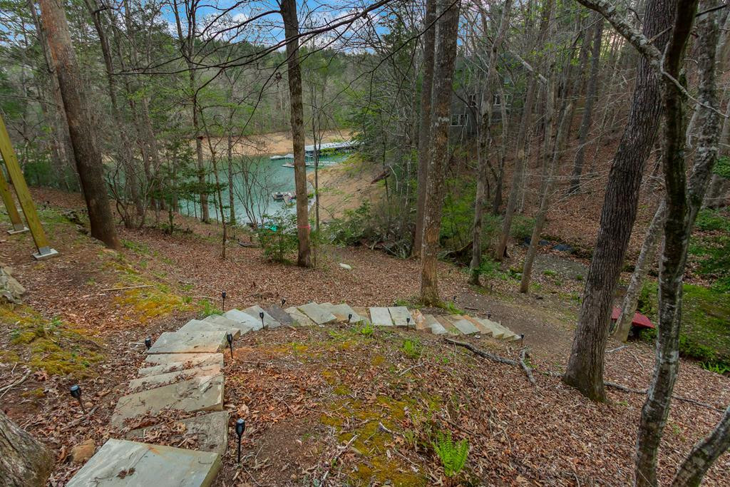 899 Lonesome Pine Road Murphy, NC 28906 - Photo 59 of 87