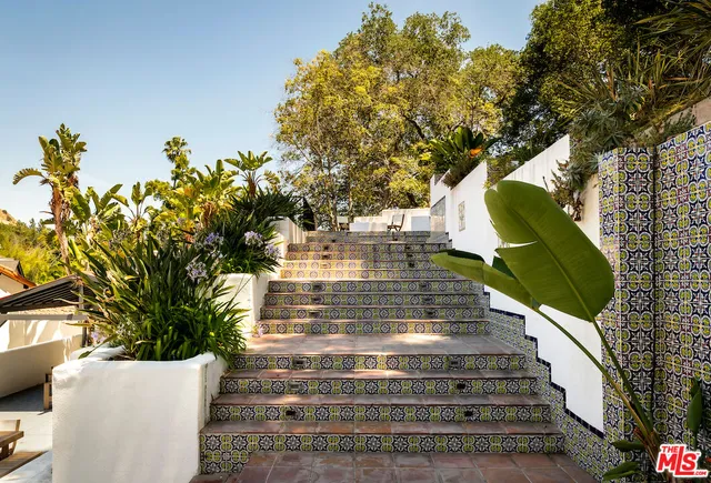 a view of a tree with a tree in the background