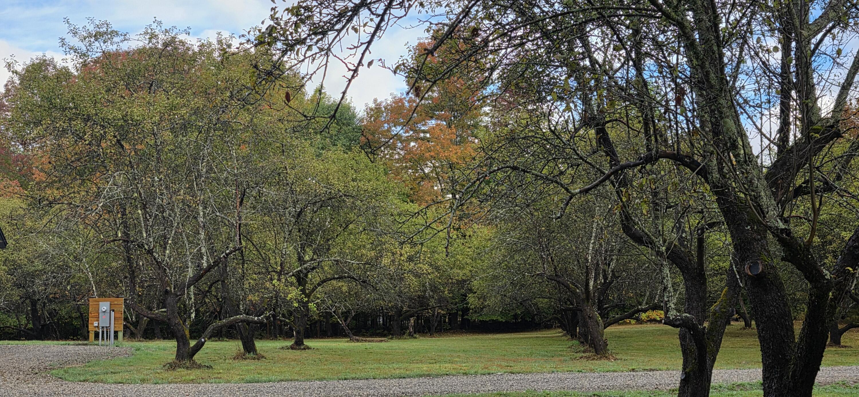 120 Harbor Road Bryant Pond, ME 04219 - Photo 38 of 39 20250926_082014