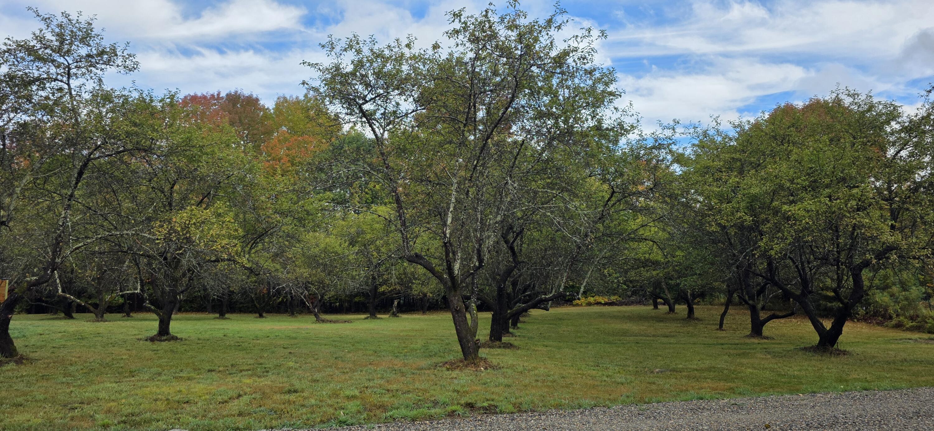 120 Harbor Road Bryant Pond, ME 04219 - Photo 39 of 39 20250926_082050