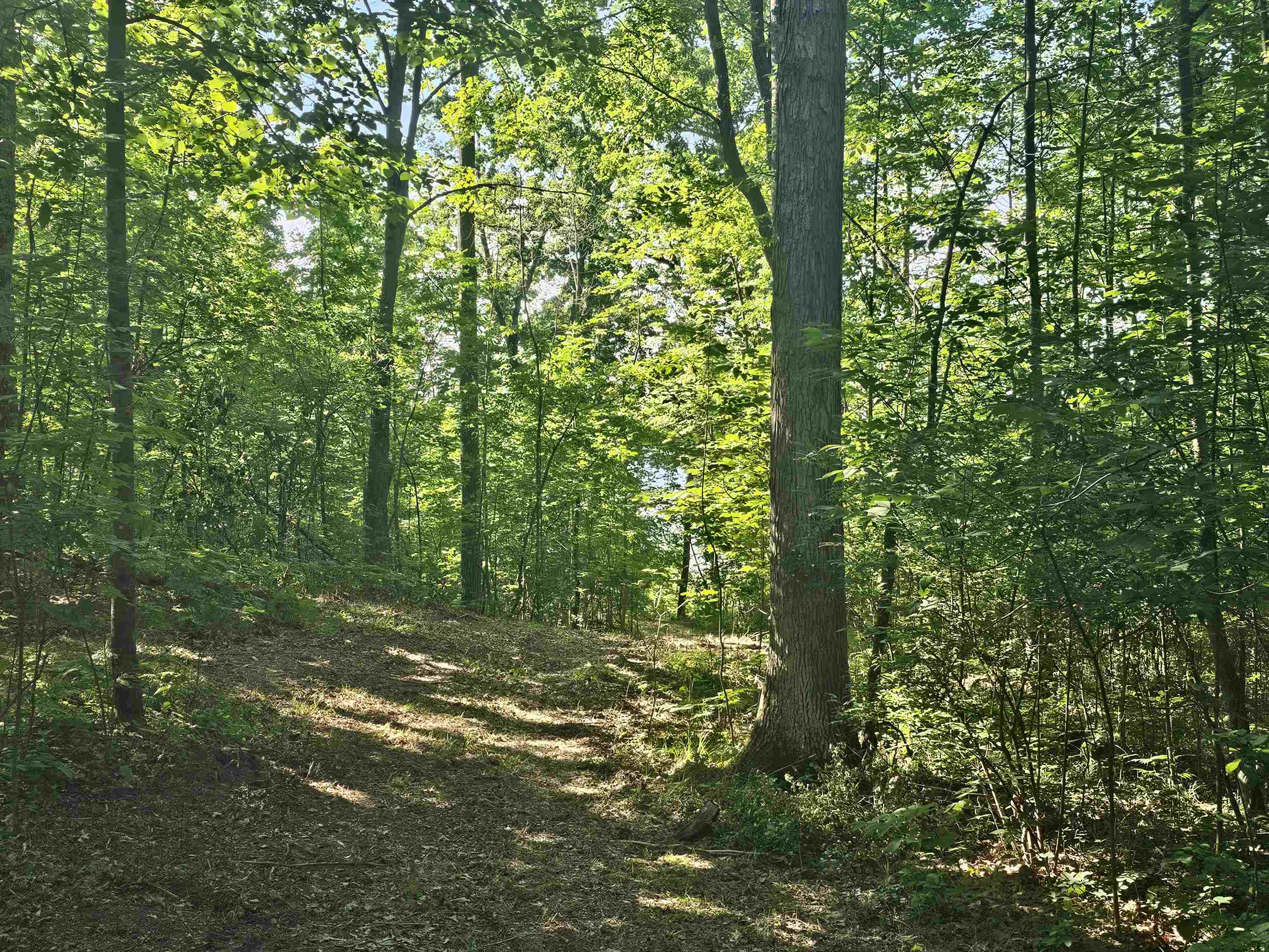 0 Barber Road Hale, MI 48739 - Photo 19 of 34