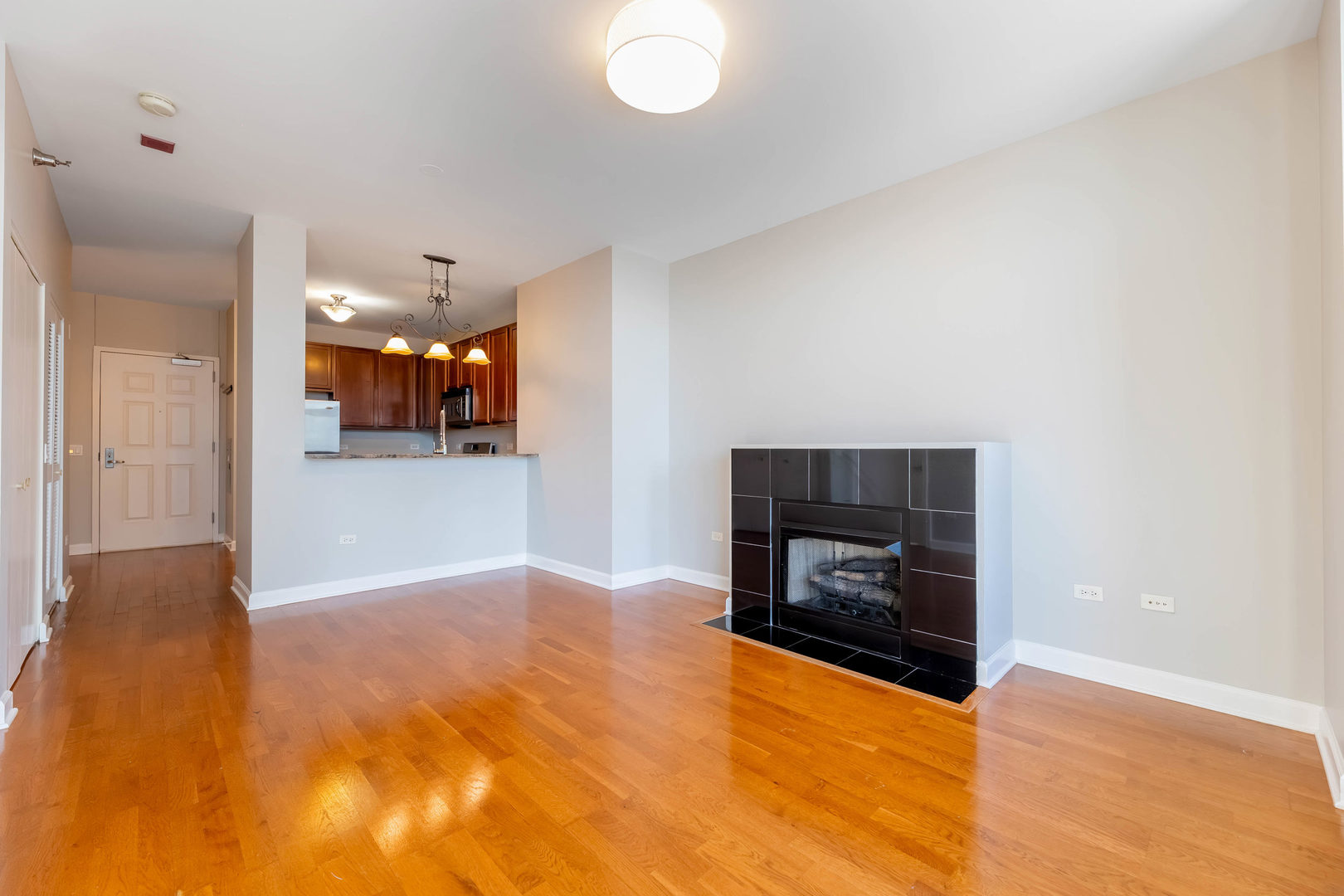 1600 South Prairie Avenue, Unit 1105 Chicago, IL 60616 - Photo 8 of 45