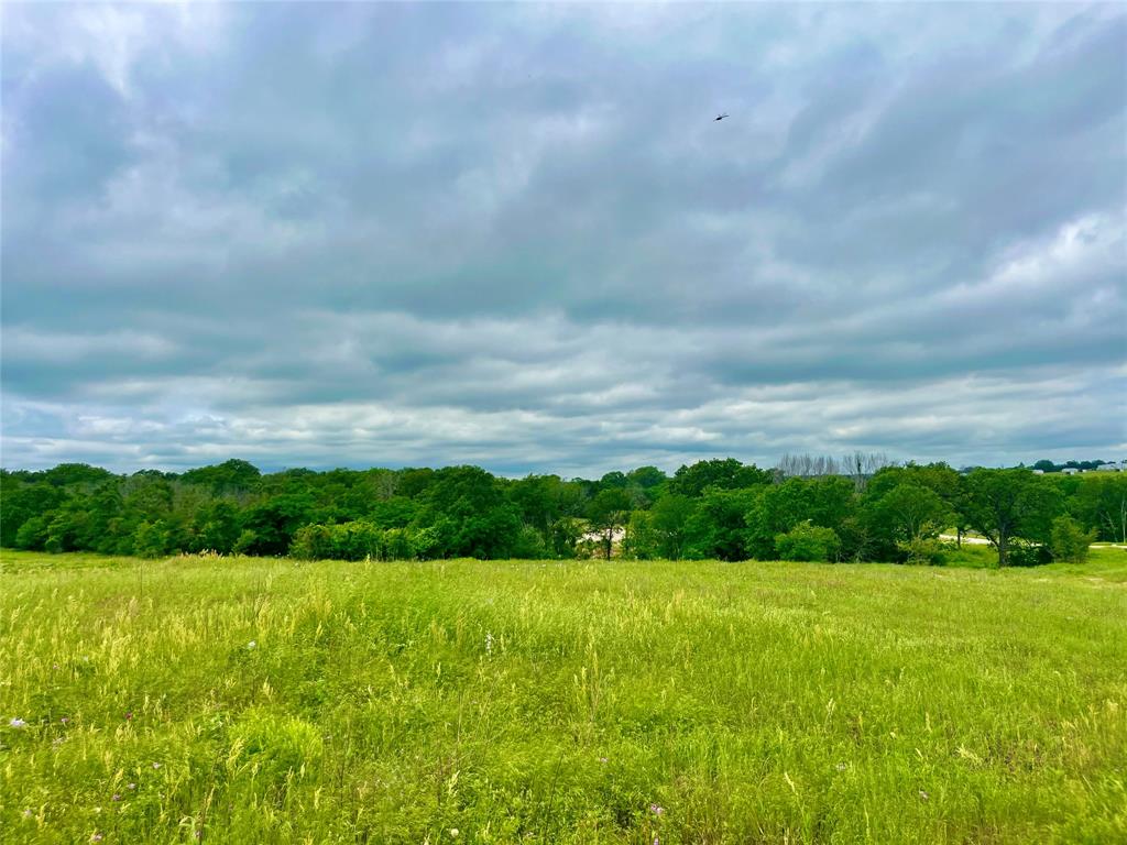 Lot 10 Clare Road Poolville, TX 76487 - Photo 3 of 5 View of mother earth's splendor