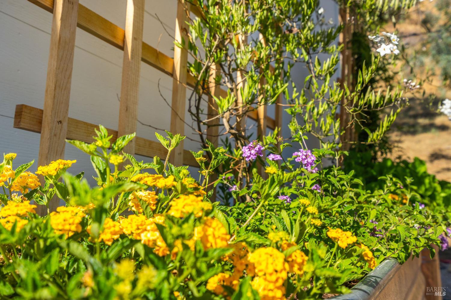 5400 Wragg Canyon Road Napa, CA 94558 - Photo 12 of 68