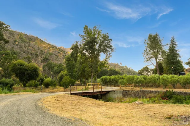 a park view with large trees