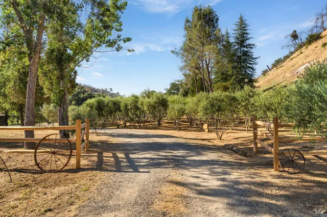 a view of a chairs and table on the patio