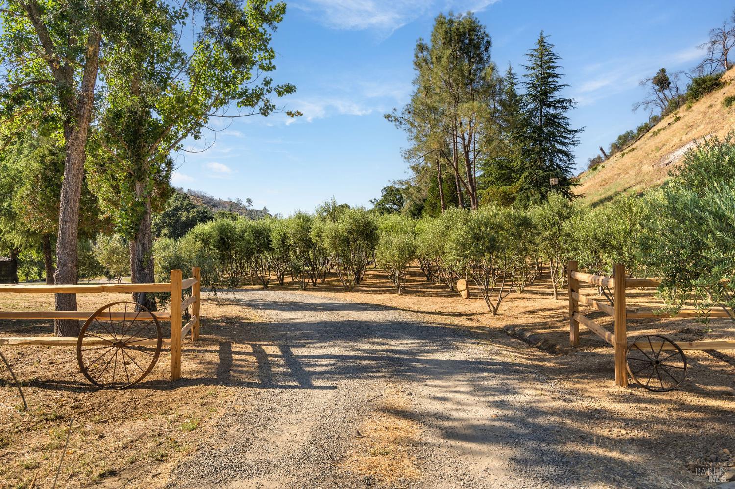 5400 Wragg Canyon Road Napa, CA 94558 - Photo 4 of 68 a view of a swimming pool with a lawn chairs and iron fence