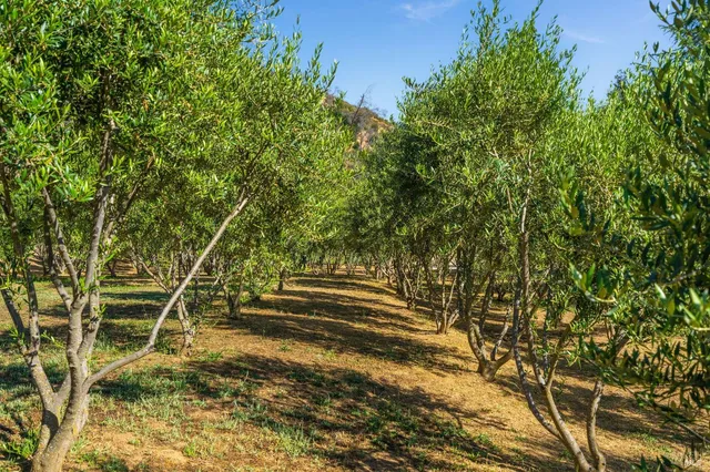 $2,100,000 | 5400 Wragg Canyon Road, Napa, CA 94558