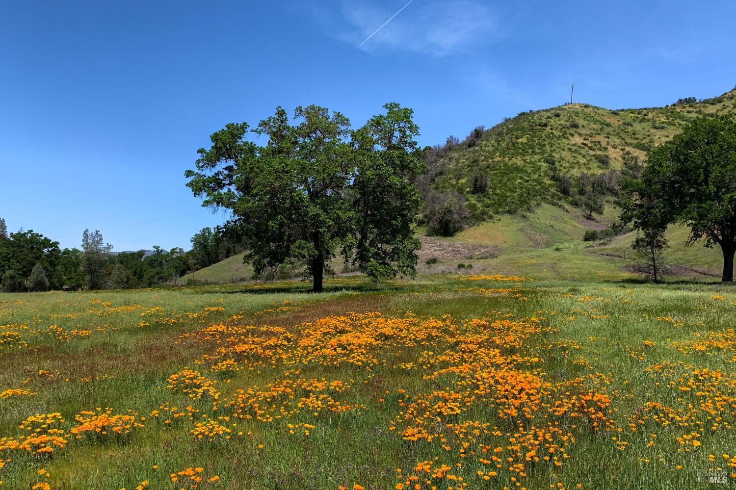 5400 Wragg Canyon Road Napa, CA 94558 - Photo 54 of 68