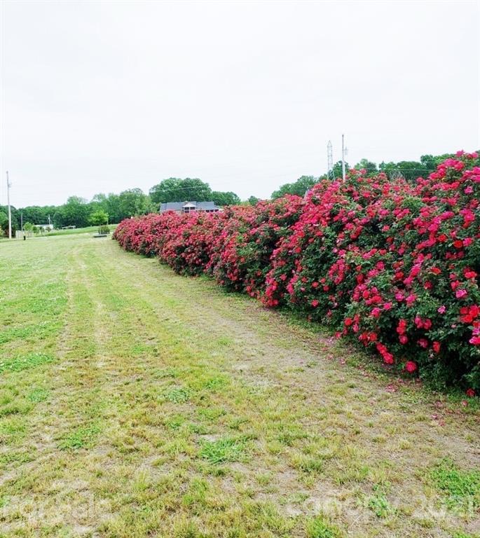 3802 Zebulon Williams Road Monroe, NC 28110 - Photo 14 of 16 Gallery Image 14