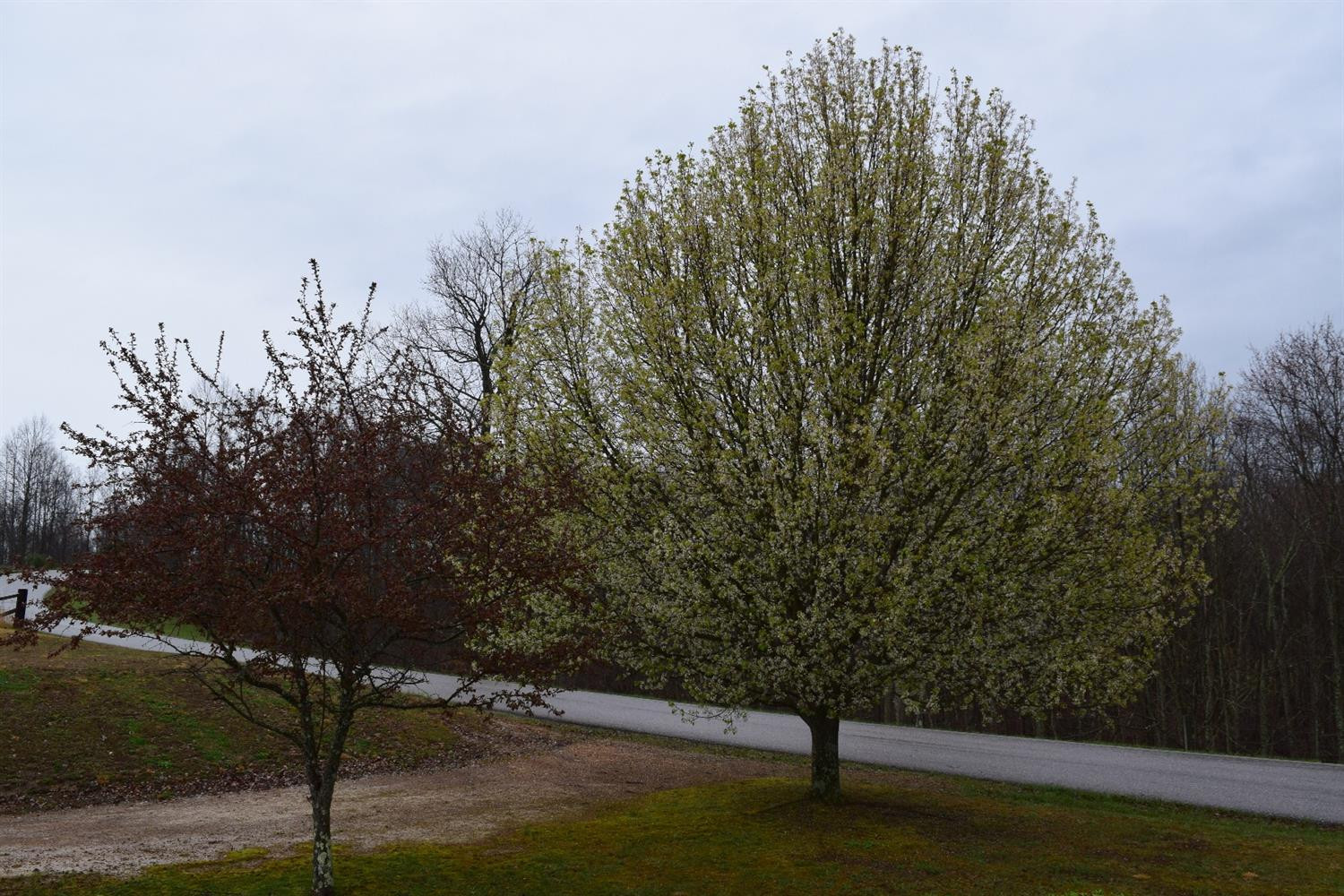 4350 Slate Lick Road London, KY 40741 - Photo 39 of 61 Photo 39
