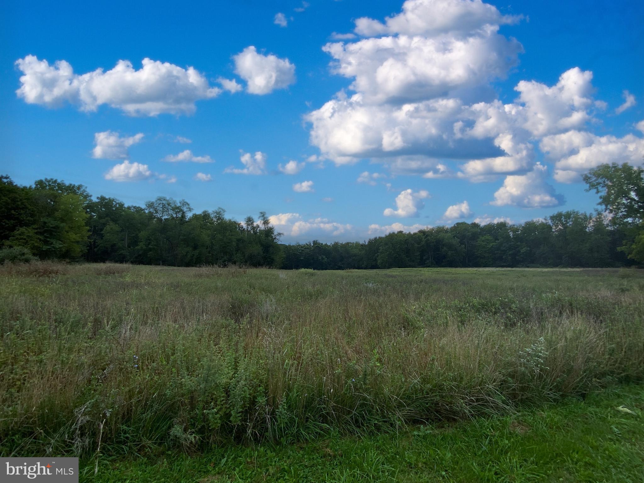 1040 Cider Press Road Chambersburg, PA 17202 - Photo 5 of 10 a view of a big yard