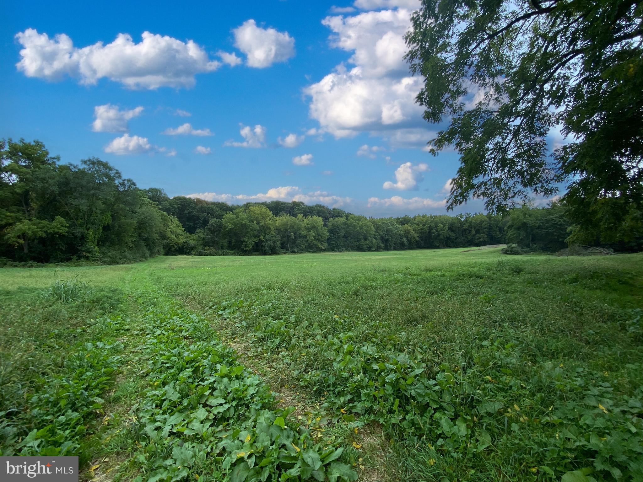 1040 Cider Press Road Chambersburg, PA 17202 - Photo 8 of 10 a view of a big yard with plants and large trees
