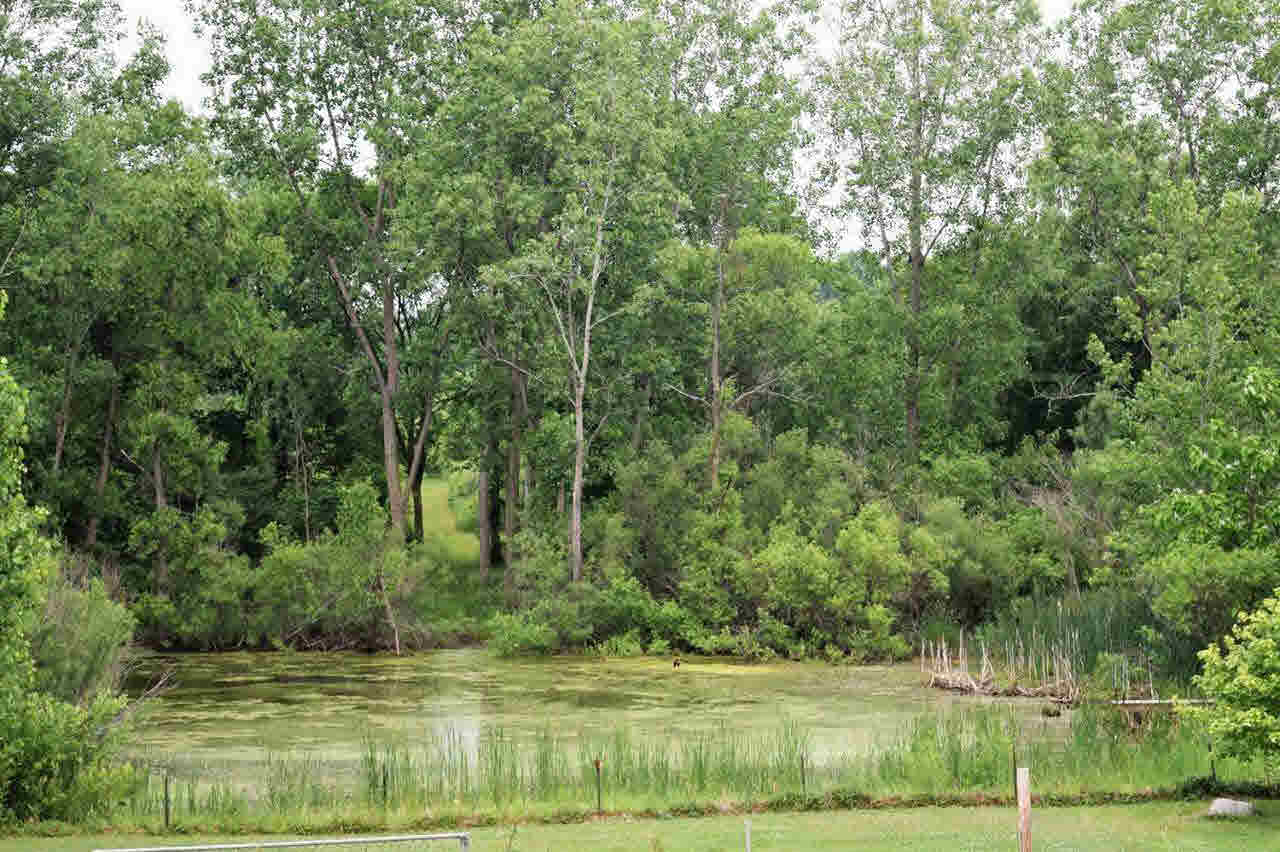 10205 Sharp Road Swartz Creek, MI 48473 - Photo 36 of 80 21178279-35.JPG