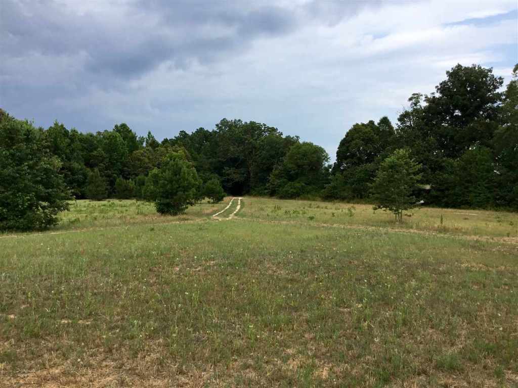 150 Pearman Road Belton, SC 29627 - Photo 4 of 18