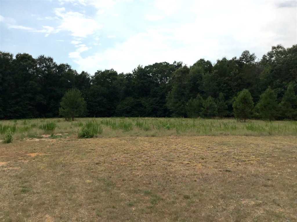 150 Pearman Road Belton, SC 29627 - Photo 5 of 18