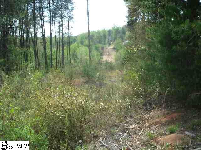 Mush Creek Road Travelers Rest, SC 29690 - Photo 2 of 6