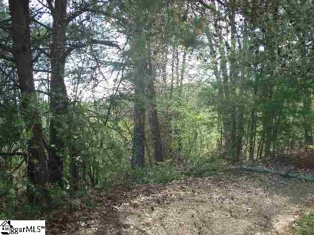 Mush Creek Road Travelers Rest, SC 29690 - Photo 3 of 6