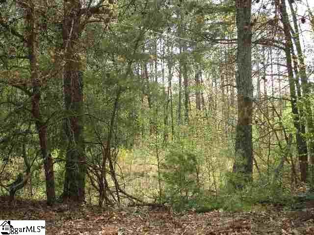Mush Creek Road Travelers Rest, SC 29690 - Photo 4 of 6