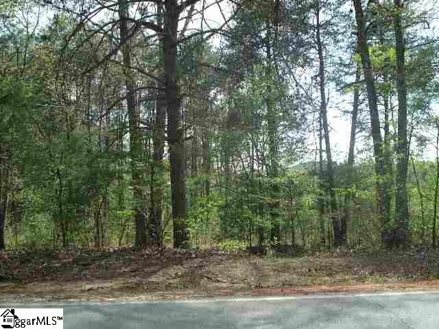 Mush Creek Road Travelers Rest, SC 29690 - Photo 5 of 6