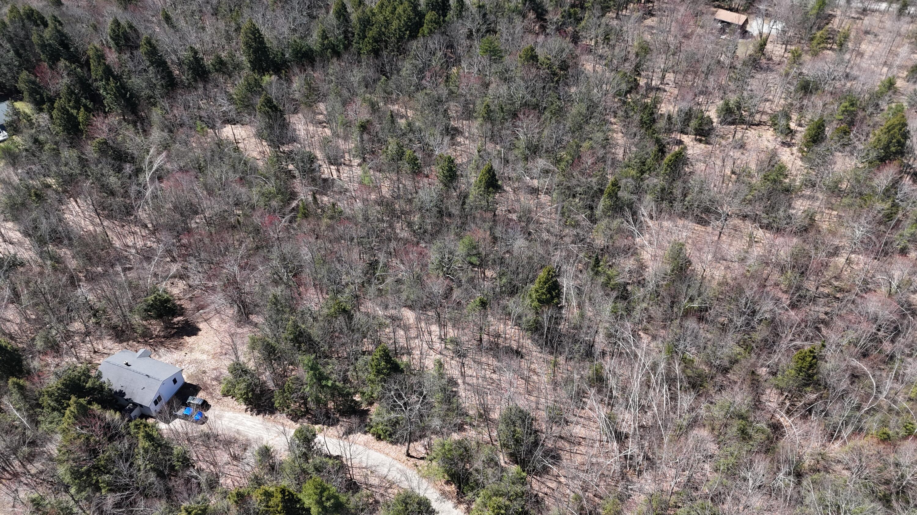 Lot 21 Johnson Road Greene, ME 04236 - Photo 14 of 18 DJI_20240423002931_0009_D