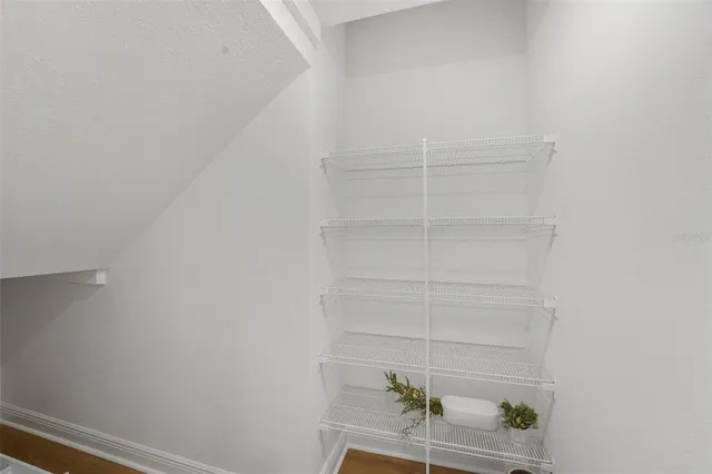 a view of walk in closet with empty racks