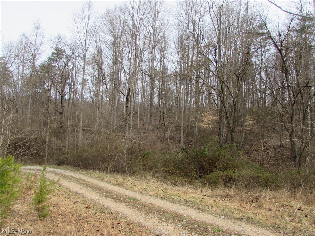 Round Stone Rd Street St. Marys, WV 26170 - Photo 6 of 14