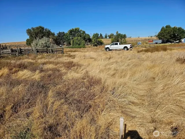 a view of a dry yard with wooden fence