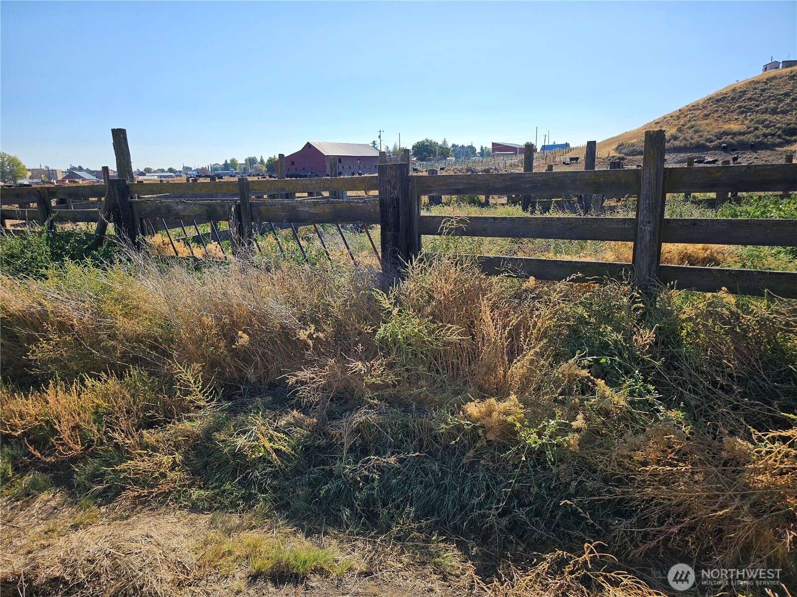 7 Ash Avenue Ritzville, WA 99169 - Photo 3 of 11 a view of a lake with houses and lake view