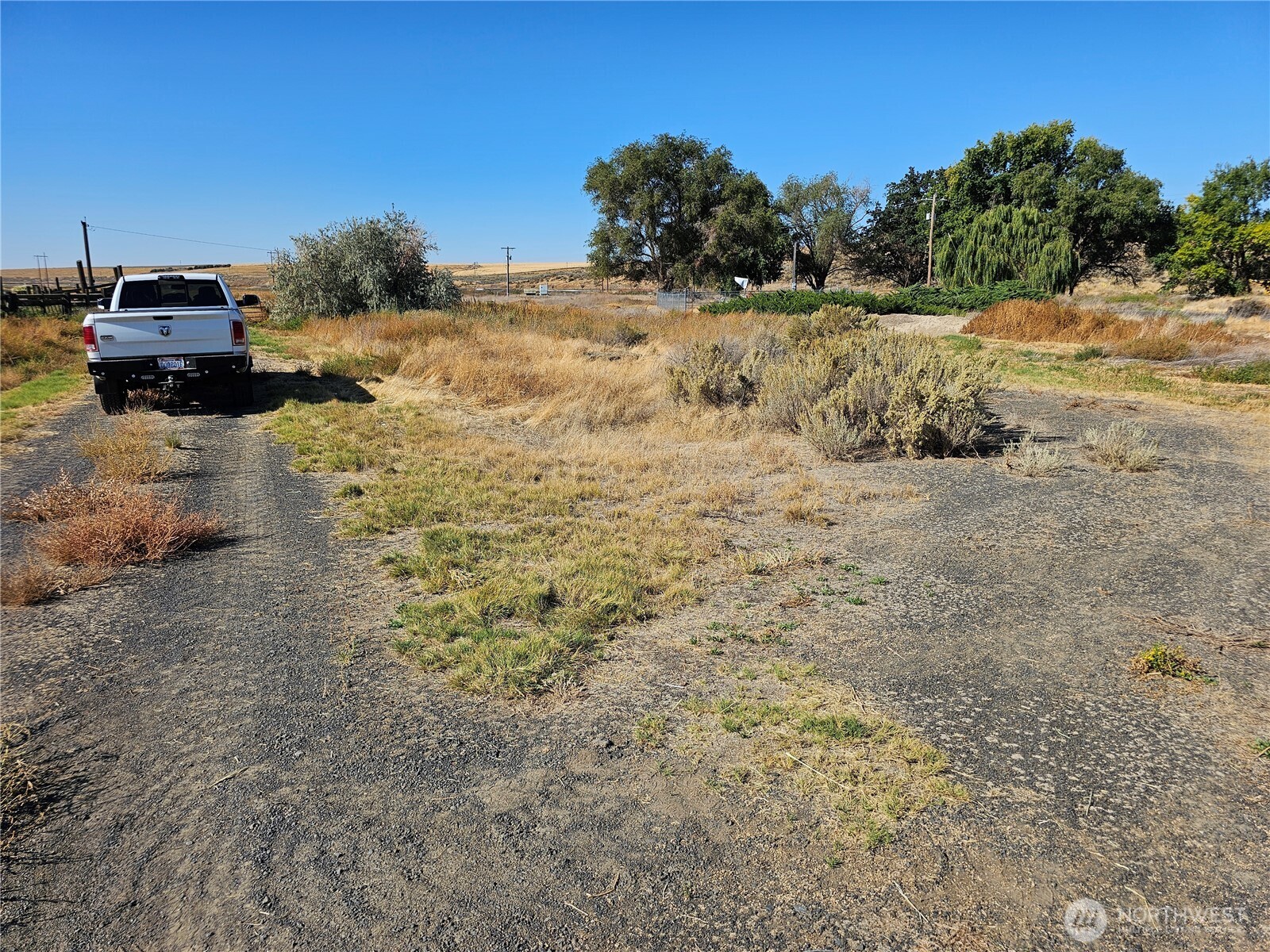 7 Ash Avenue Ritzville, WA 99169 - Photo 8 of 11 a view of a yard with an ocean