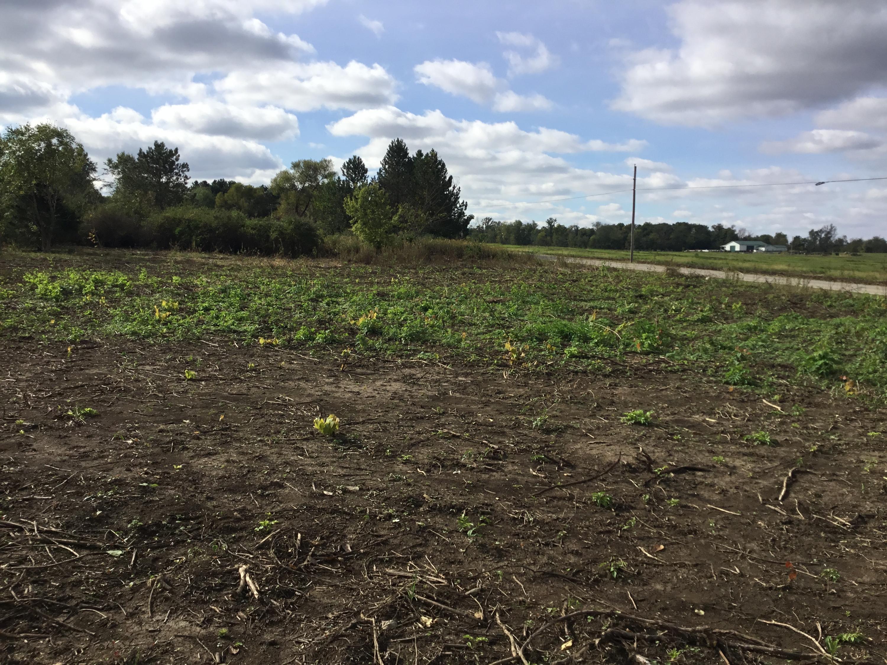 0 Goodman Road Ashville, OH 43103 - Photo 2 of 6