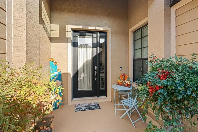 a potted plant sitting in front of a house