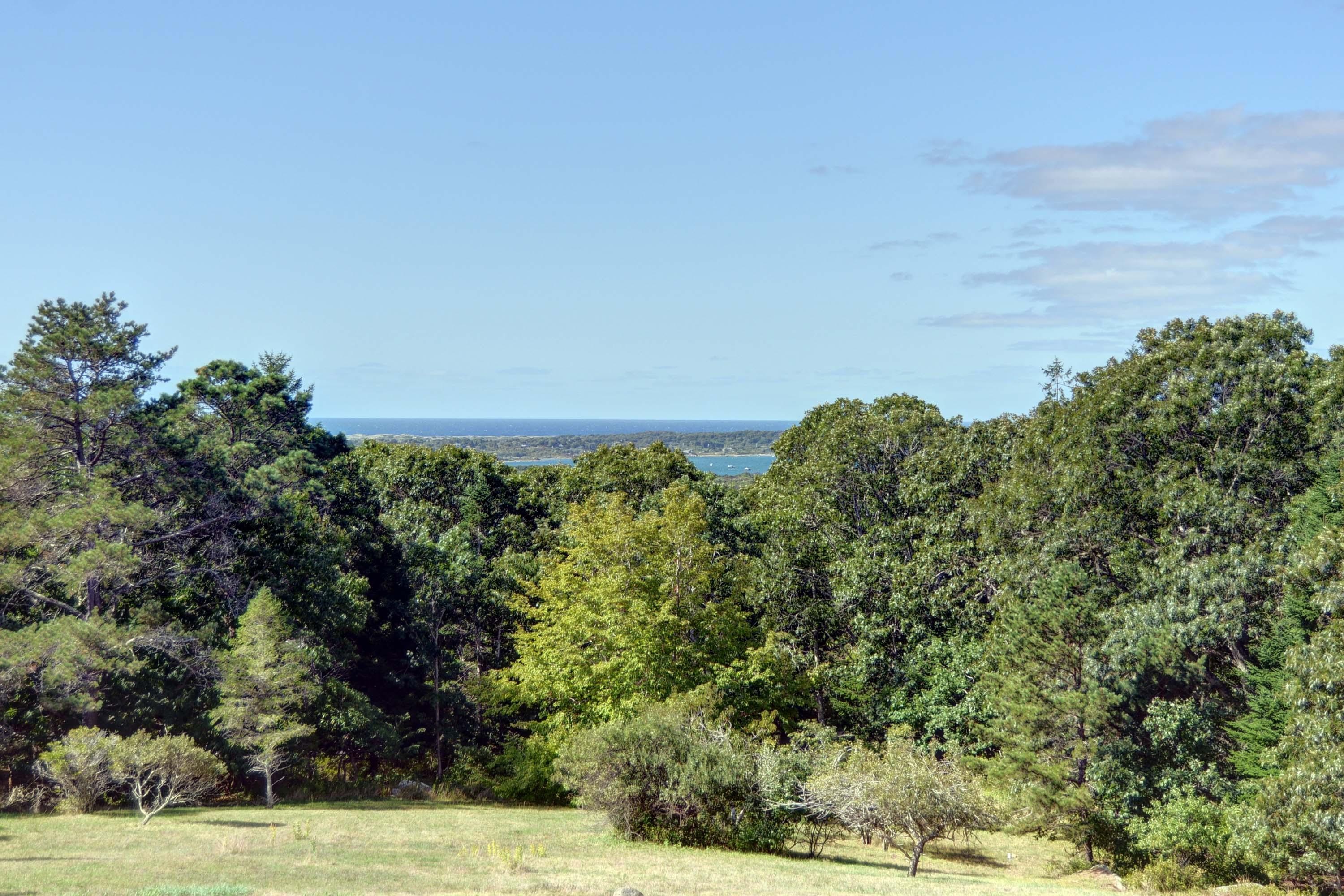 17 High Mark Road Chilmark, MA 02535 - Photo 19 of 52 a view of a field with plants and trees