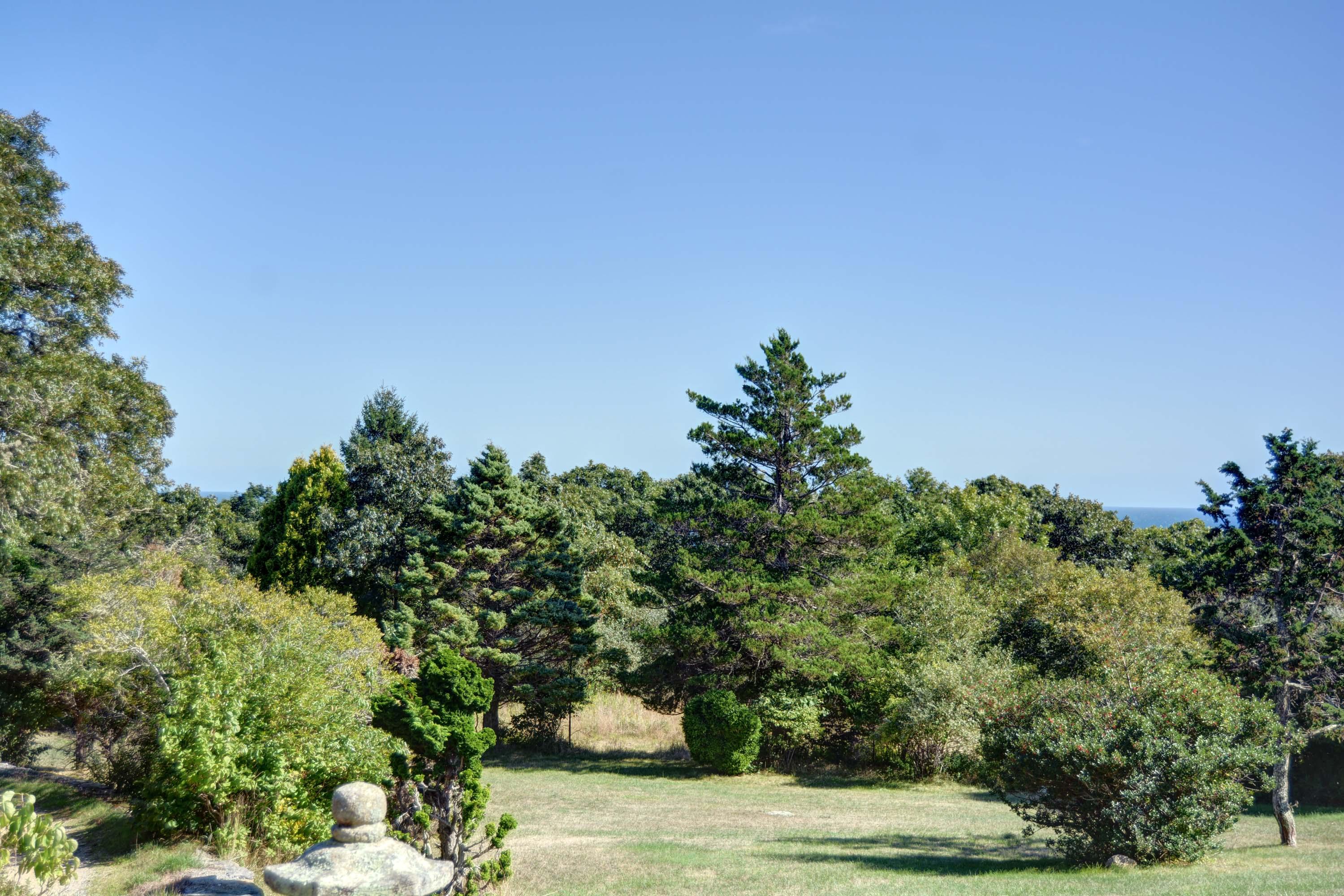 17 High Mark Road Chilmark, MA 02535 - Photo 46 of 52 a view of a yard with plants and a tree