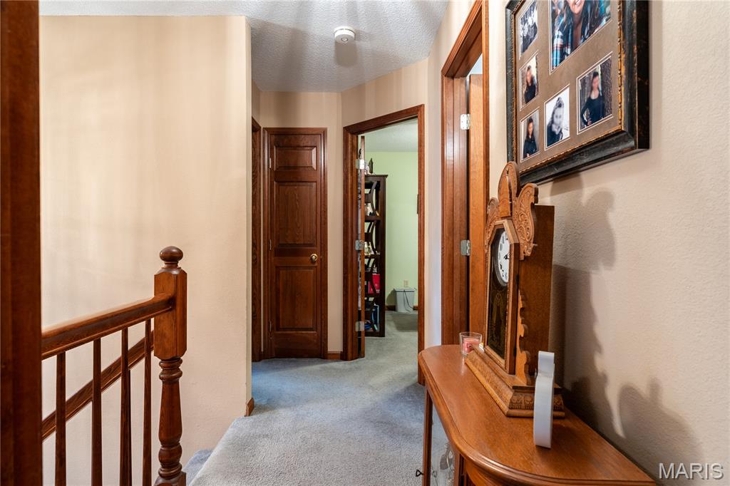 19 Chelsea Road Collinsville, IL 62234 - Photo 30 of 61