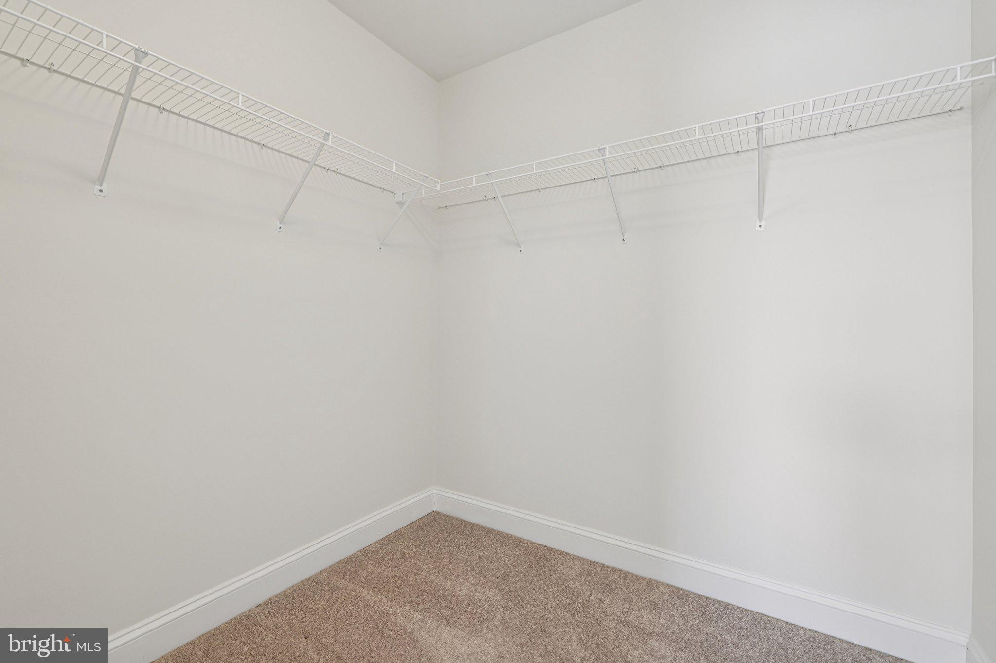 10807 Timber View Way Columbia, MD 21044 - Photo 28 of 72 Large Walk in Closet