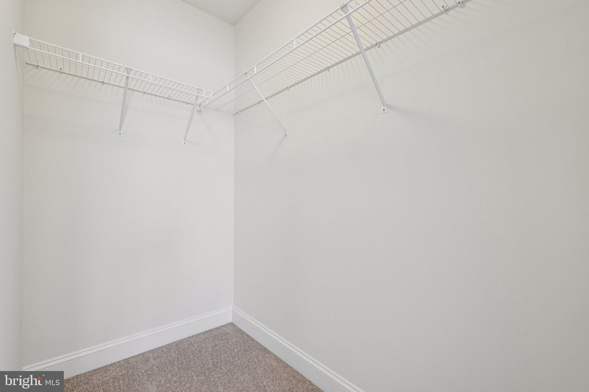 10807 Timber View Way Columbia, MD 21044 - Photo 29 of 72 Large Walk in Closet