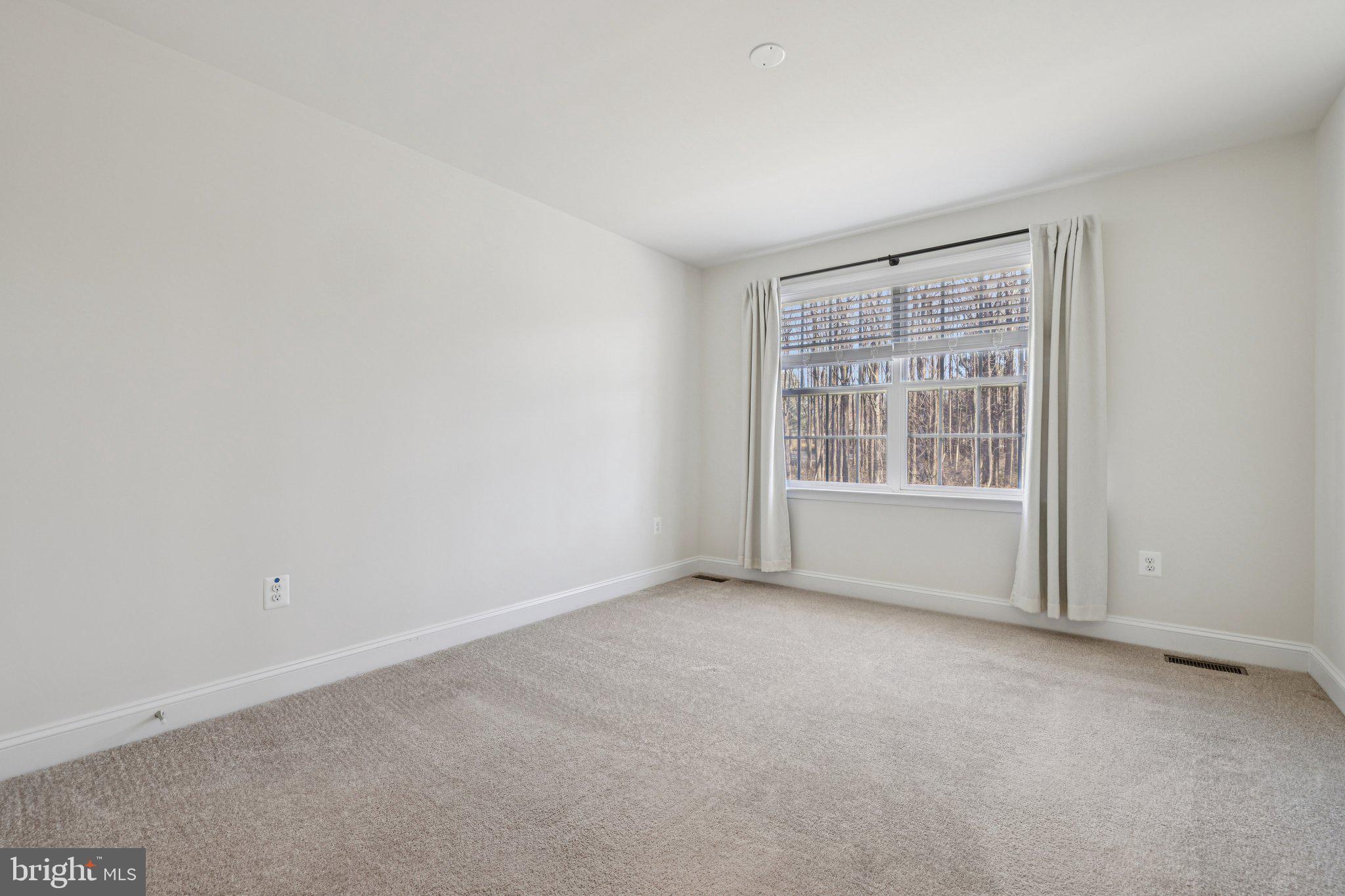 10807 Timber View Way Columbia, MD 21044 - Photo 46 of 72 4th bedroom