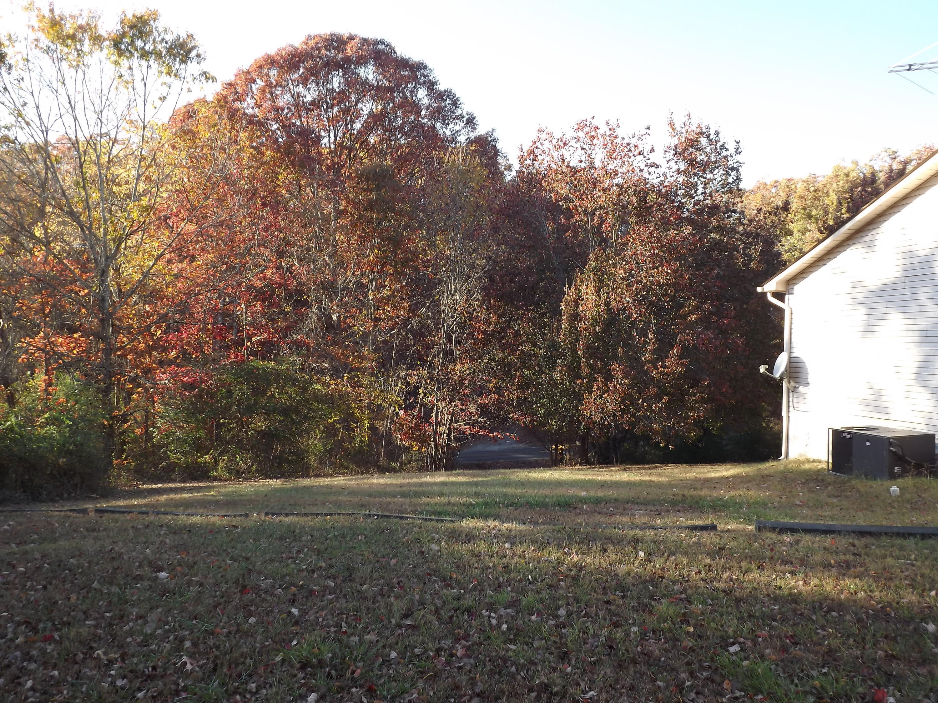 1965 Baggett Road Ringgold, GA 30736 - Photo 5 of 21 DSCF0084