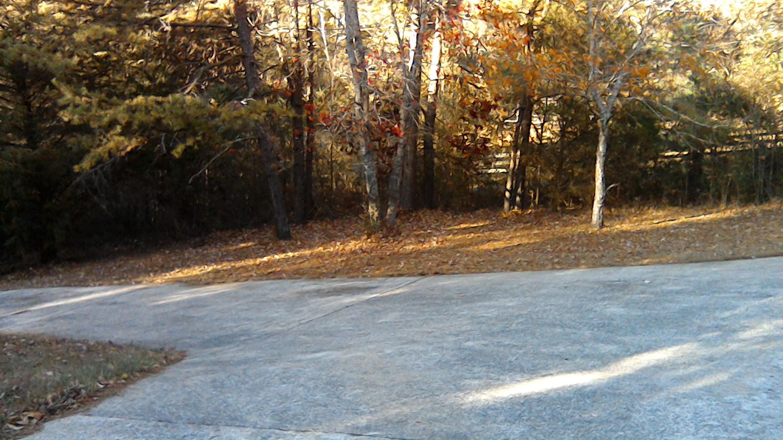 1965 Baggett Road Ringgold, GA 30736 - Photo 8 of 21 WIN_20161119_15_49_28_Pro