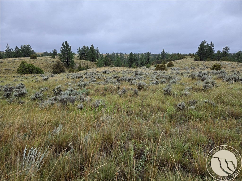 16 Mountain View Road Molt, MT 59057 - Photo 6 of 19 Gallery Image 6