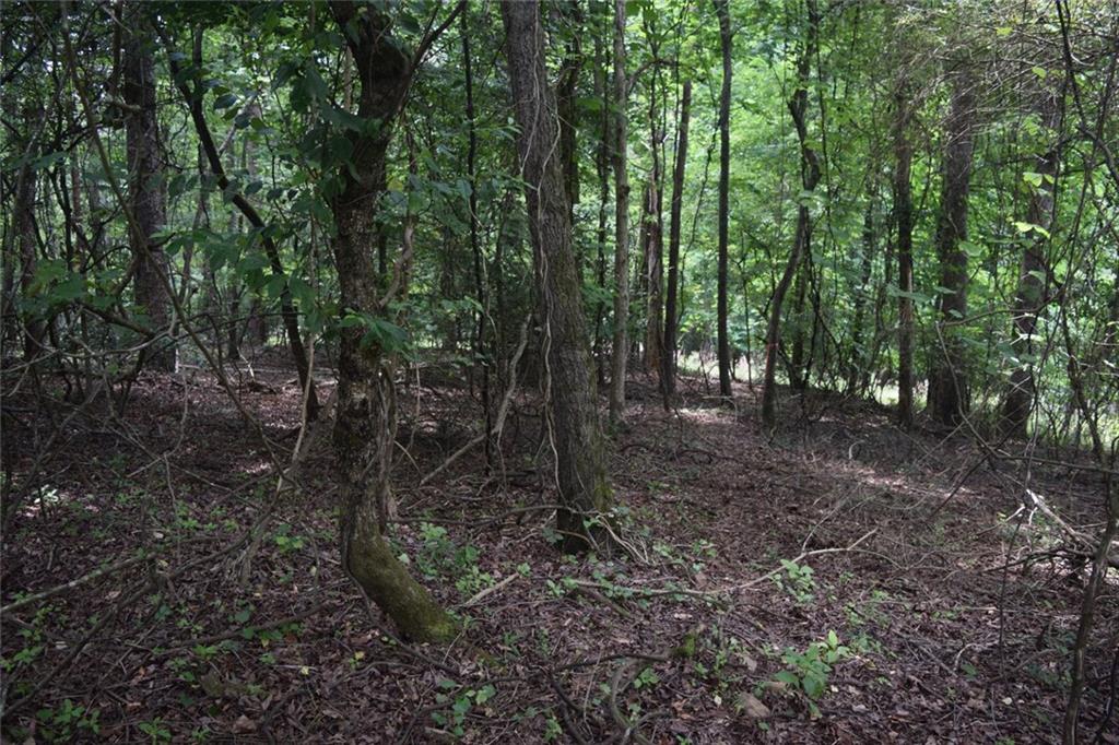 792 Lower Dowda Mill Road Jasper, GA 30143 - Photo 28 of 35