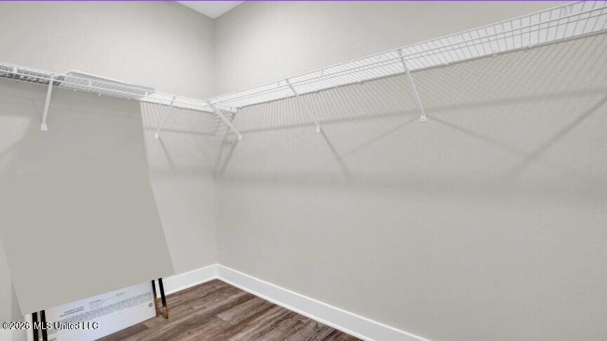 13305 Sarsen Loop Vancleave, MS 39565 - Photo 25 of 42 26 Primary Closet