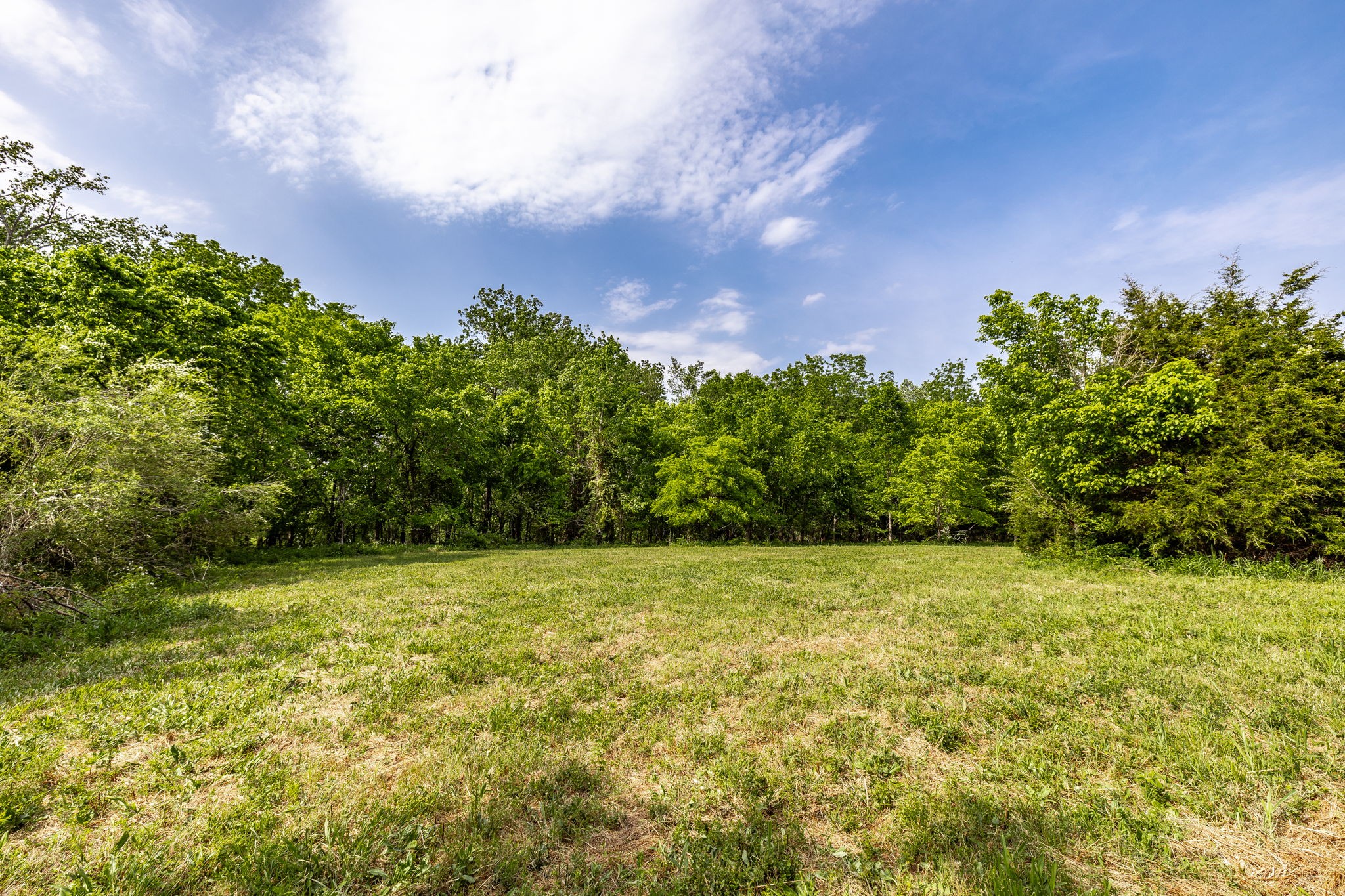 0 Robert Neal Durham Road Bethpage, TN 37022 - Photo 5 of 17 Gallery Image 5