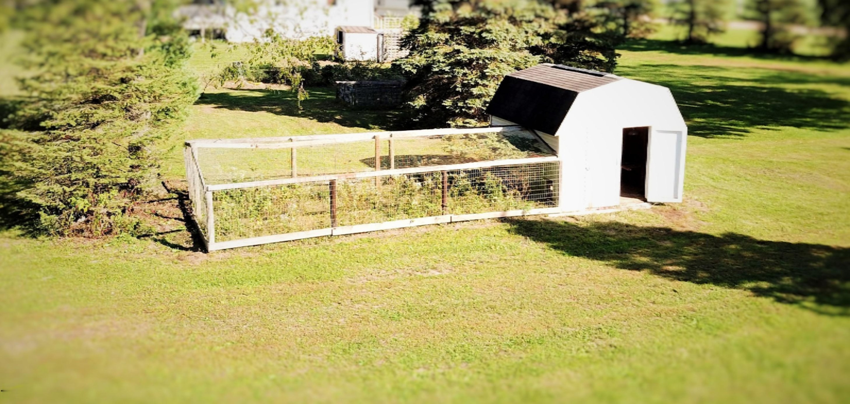 7480 Hall Road Bellevue, MI 49021 - Photo 8 of 34 DJI_0071 (3)