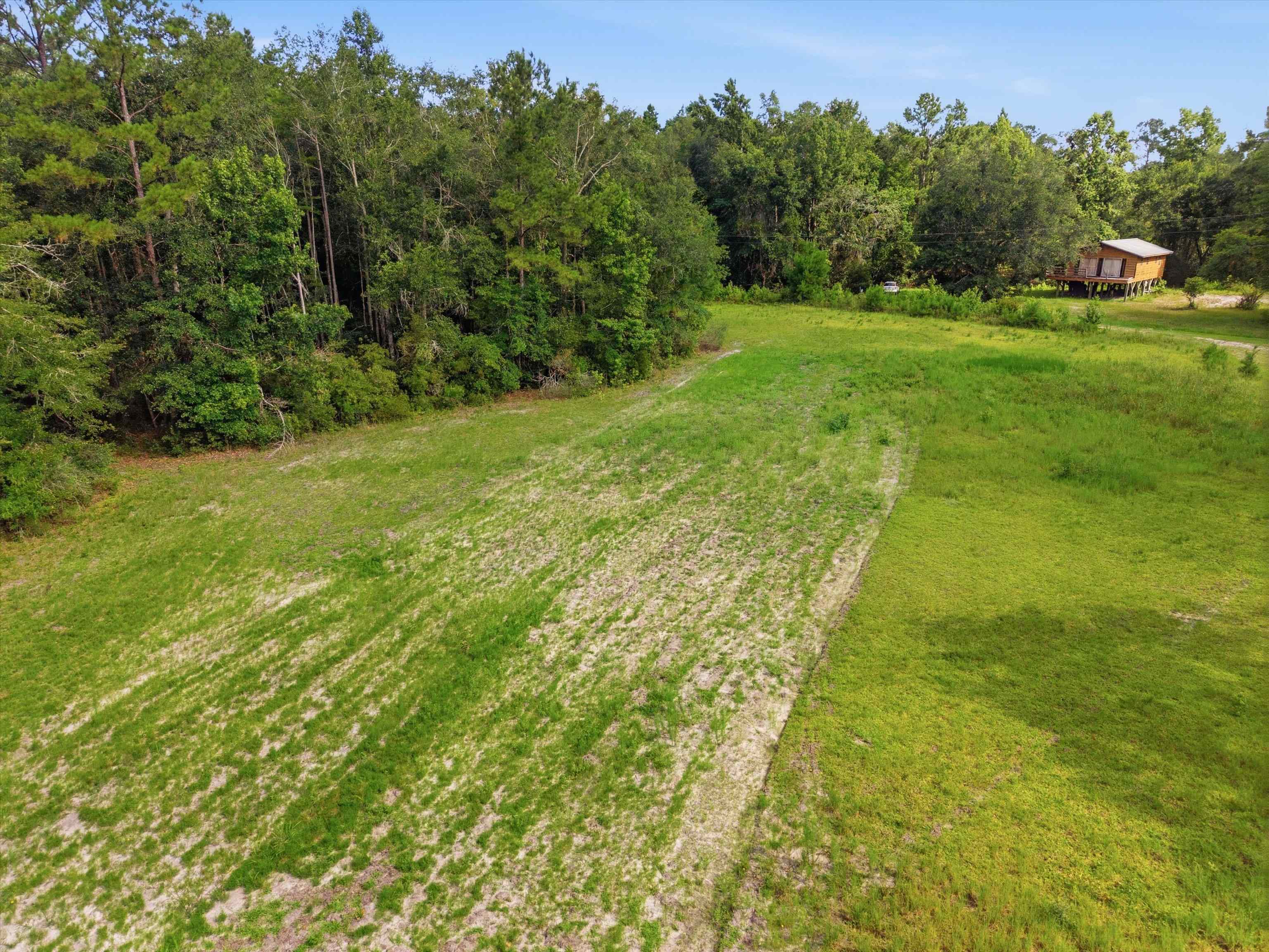Xxx Neely Road Monticello, FL 32344 - Photo 7 of 37
